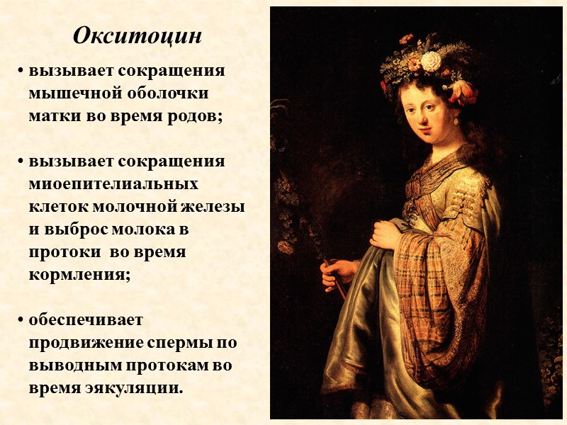 Окситоцин  вызывает сокращения мышечной оболочки матки во время родов;  вызывает сокращения миоепителиальных